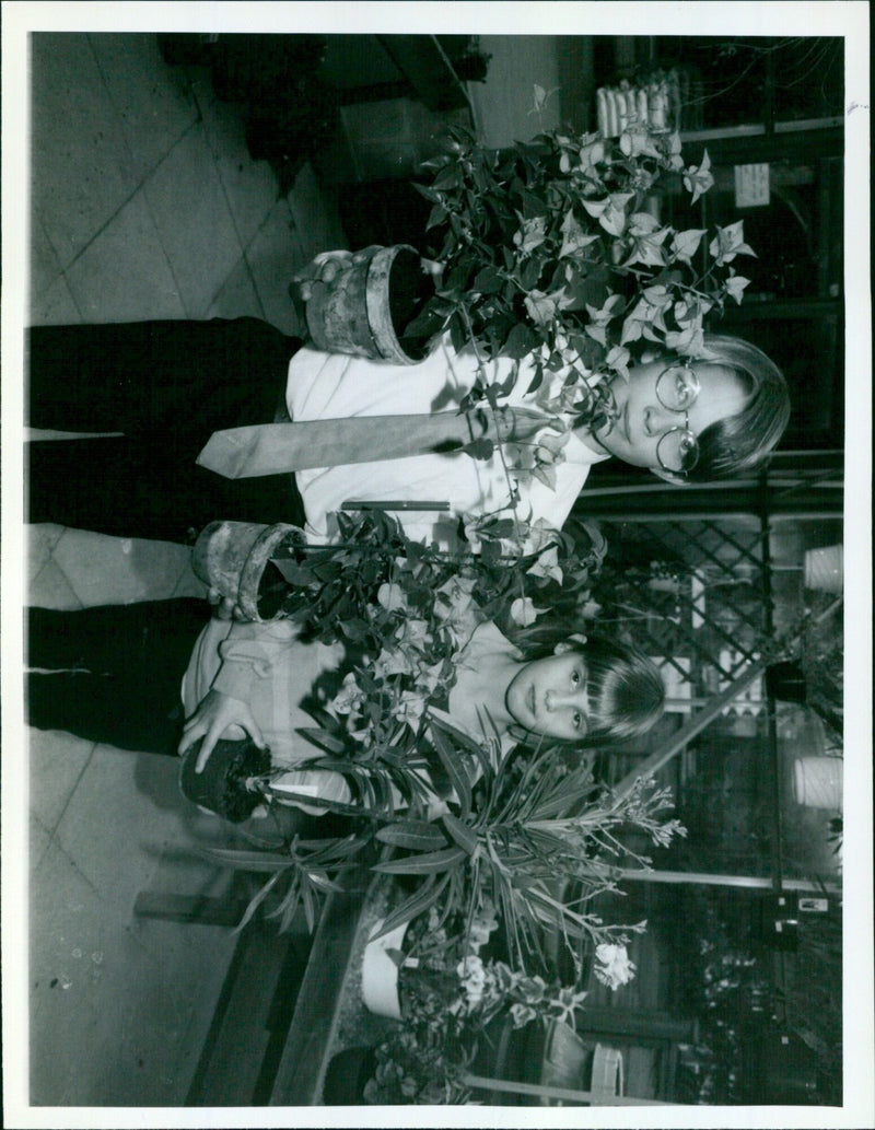 A field of flowers and plants in bloom. - Vintage Photograph