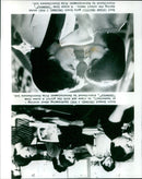 Michael J. Fox and Susan Ursitti in a scene from the 1985 film, "Teenwolf". - Vintage Photograph