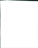 The Teenage Mutant Ninja Turtles make an appearance on The Movie Channel. - Vintage Photograph