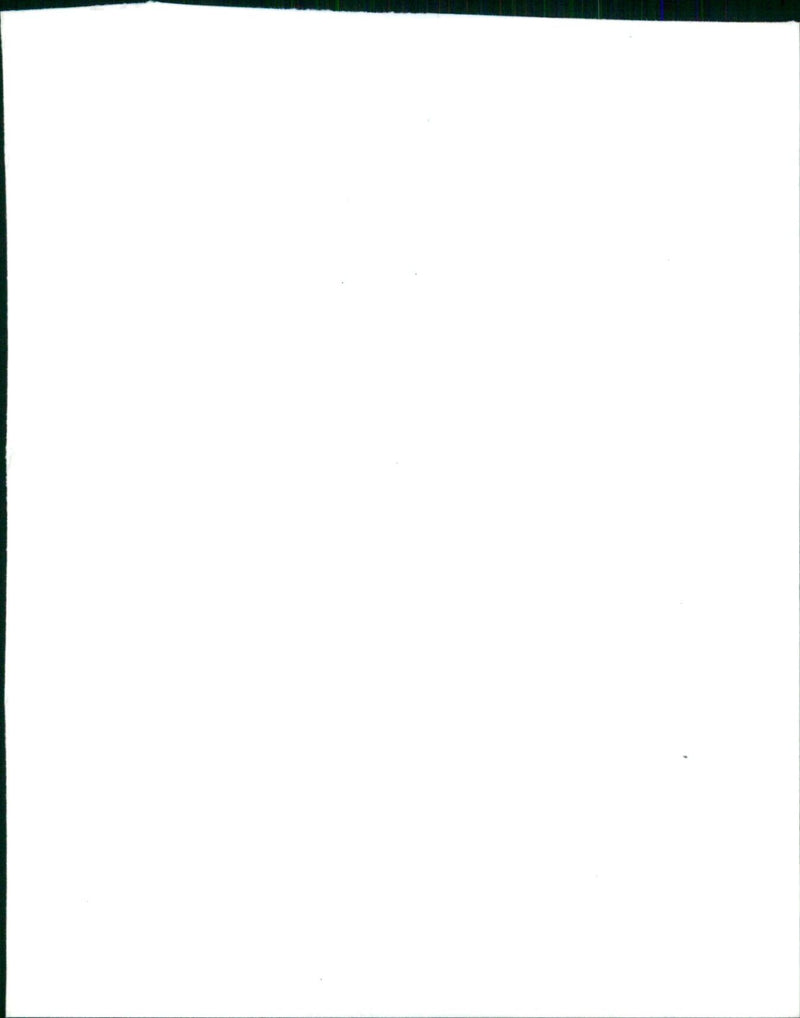 The Teenage Mutant Ninja Turtles make an appearance on The Movie Channel. - Vintage Photograph