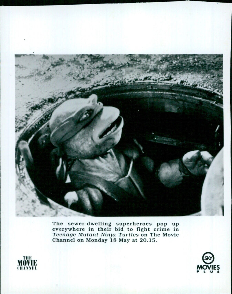 The Teenage Mutant Ninja Turtles make an appearance on The Movie Channel. - Vintage Photograph