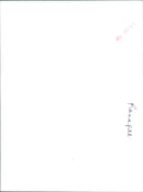 A promotional image from the 1991 film "Teenage Mutant Ninja Turtles II: The Secret of the Ooze." - Vintage Photograph