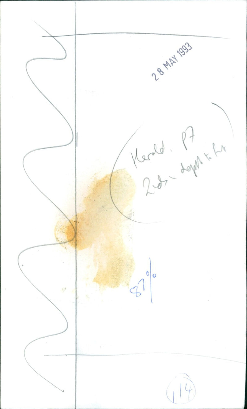 A Fritillaria imperialis flower blooms in a field. - Vintage Photograph