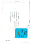 A Hart's tongue fern in bloom. - Vintage Photograph