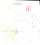 A bee pollinates a calendula flower. - Vintage Photograph