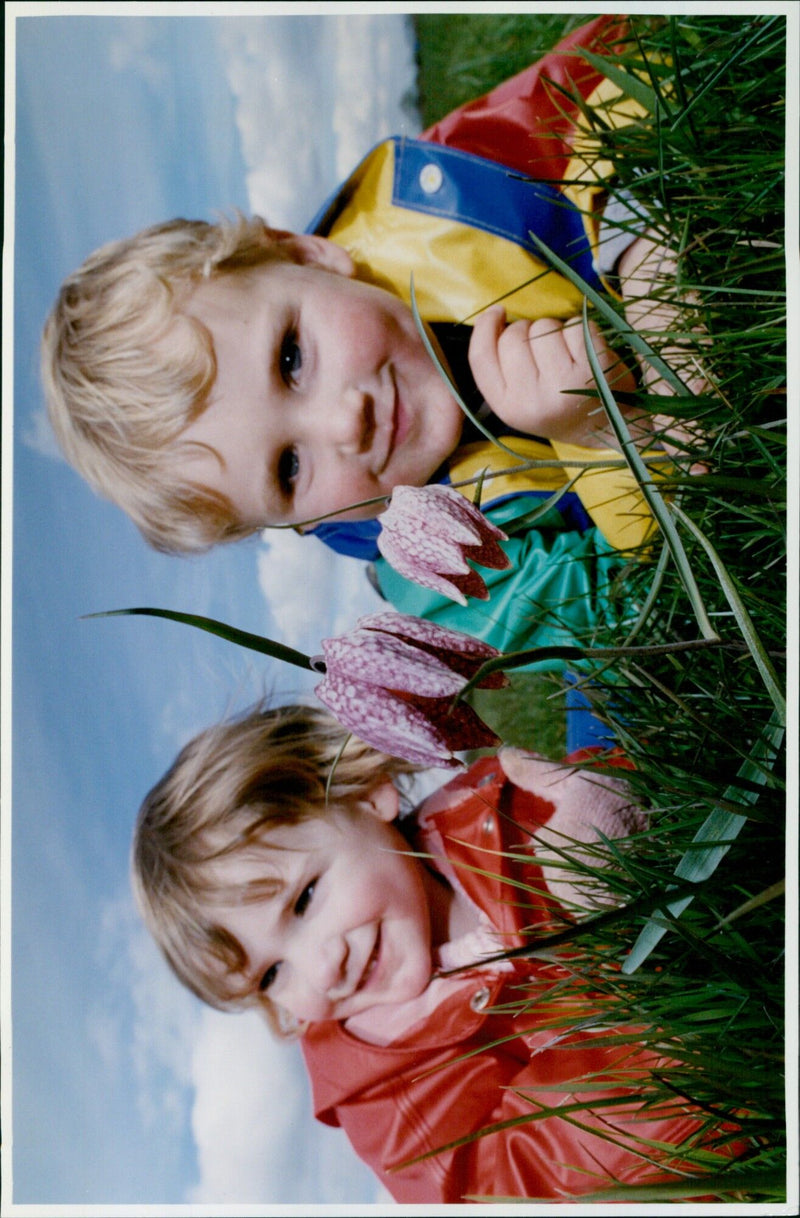Two young siblings admire a Snakeshead Fritillary in a field of flowers. - Vintage Photograph