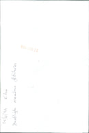 A family of ducklings is seen led by their mother in a park in Fatilanes, France. - Vintage Photograph