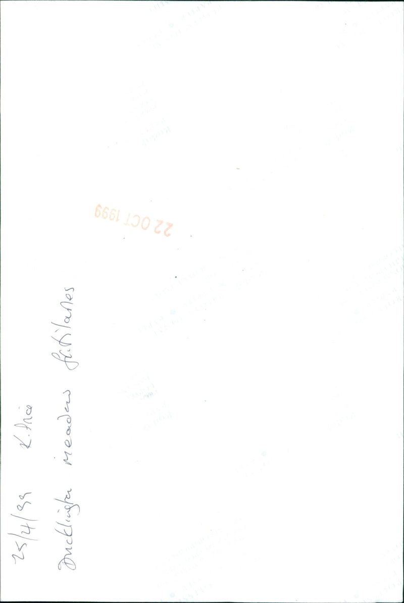 A family of ducklings is seen led by their mother in a park in Fatilanes, France. - Vintage Photograph