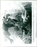 Mrs Brisby, a mouse, receives sage advice from the Great Owl in the 1982 animated film, 'The Secret of NIMH'. - Vintage Photograph