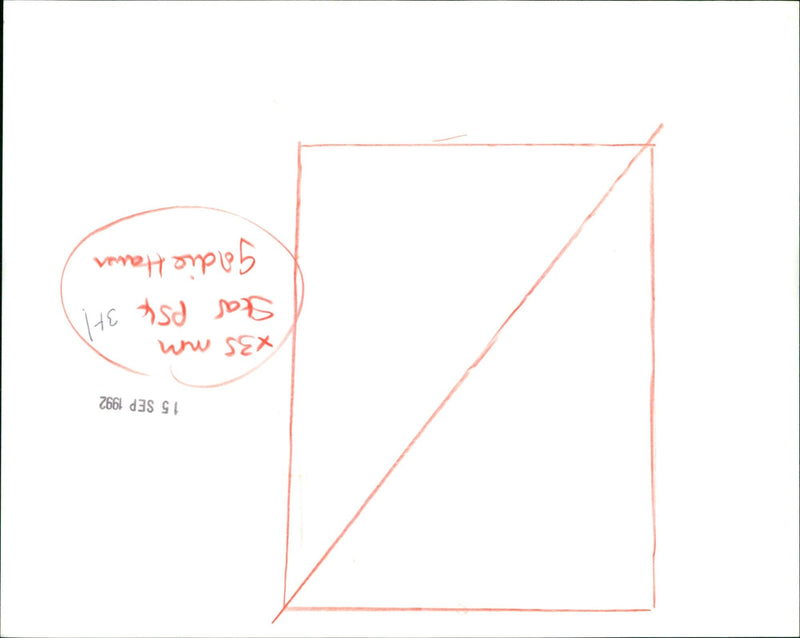 Goldie Hawn stars in the film "Housesitter." - Vintage Photograph