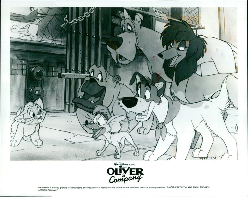 Oliver & Company - Vintage Photograph