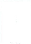 A woman admiring a field of wildflowers. - Vintage Photograph