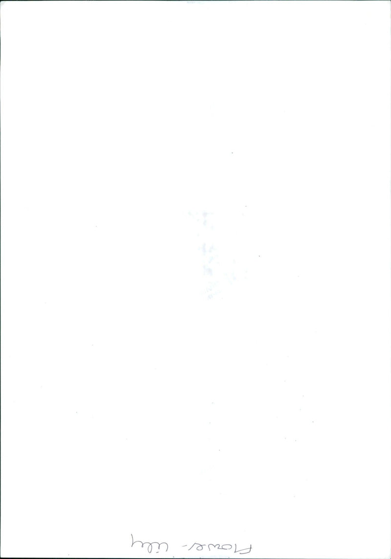 A woman admiring a field of wildflowers. - Vintage Photograph