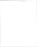 A woman holds a bouquet of pink and white roses. - Vintage Photograph