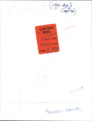 A white Hyacinth "L'Innocence" blooms in a garden. - Vintage Photograph