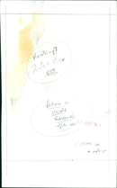 A field of purple crocus blooms in a lush landscape. - Vintage Photograph