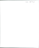 A woman holds a bouquet of freshly picked flowers on a sunny day. - Vintage Photograph