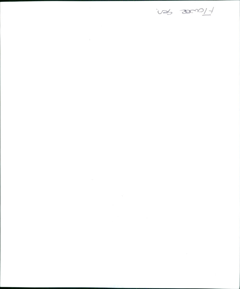 A woman holds a bouquet of freshly picked flowers on a sunny day. - Vintage Photograph