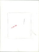 Azaleas in bloom in May. - Vintage Photograph