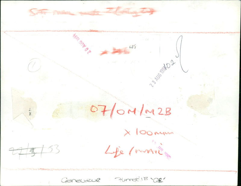 Genevieve - Vintage Photograph