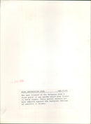 A garden of Eremurus flowers in bloom. - Vintage Photograph