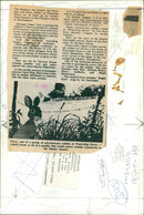 Manager Roger Tear is preparing a holiday lineup of films, including "Superman II" and "Watership Down," at the Chandos cinema in Buckingham. - Vintage Photograph