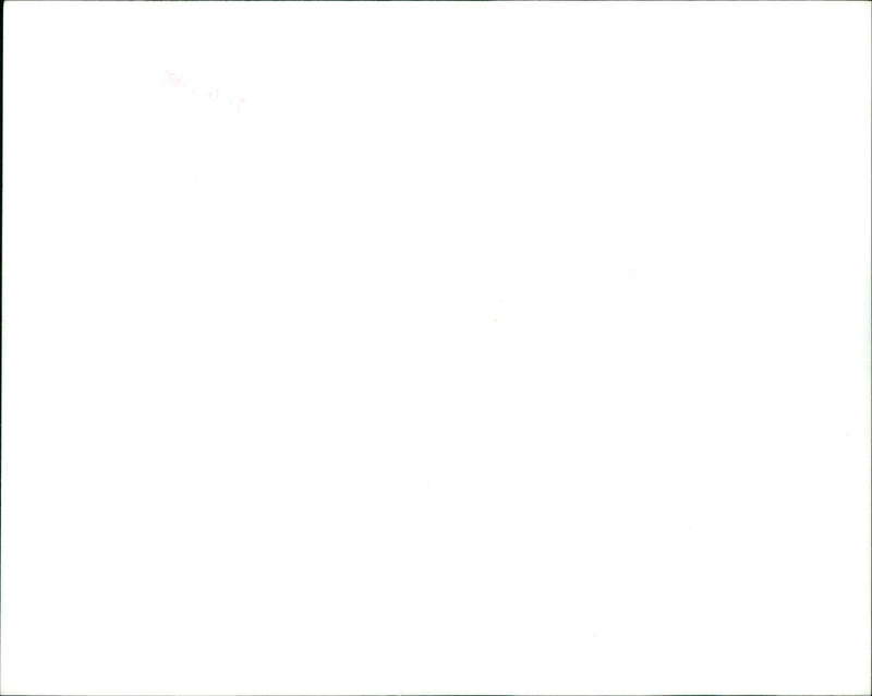 Robert Shaye, Michael White and Divine present John Waters' film Polyester, starring Divine and Tab Hunter. - Vintage Photograph