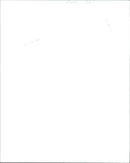 Dickon, Colin, Mary, and Martha appear in Warner Bros.' film adaptation of "The Secret Garden". - Vintage Photograph