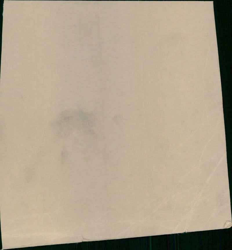 Actress Katrina Bowden attends the premiere of the movie "STA-STD". - Vintage Photograph