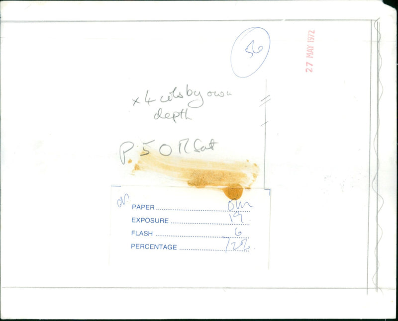 An adult elephant is featured in the new film "King Elephant" by Cinema Center Films. - Vintage Photograph