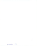 The Prince of Tides - Vintage Photograph