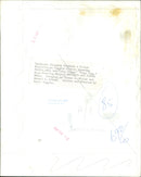 Goldie Hawn and Chevy Chase at a "Foul Play" film premiere. - Vintage Photograph