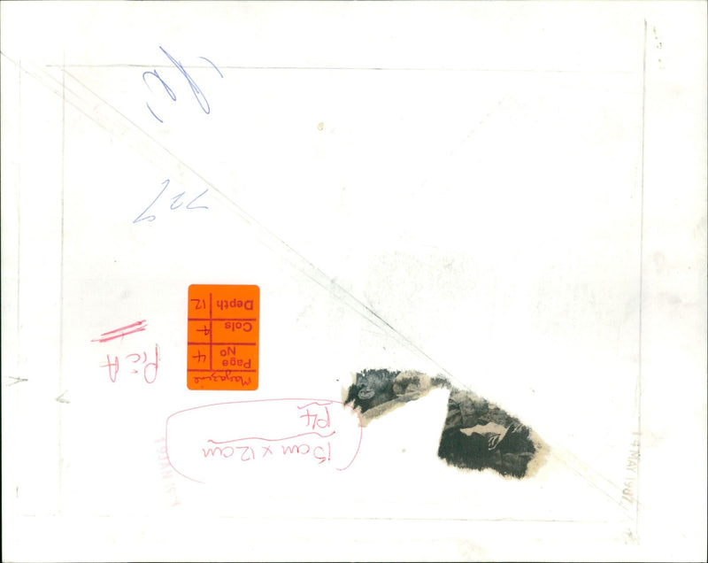 Sergeant Elias is restrained by the men of Bravo Company in the 1986 film Platoon. - Vintage Photograph