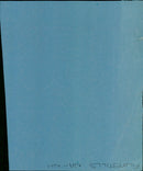 A large crowd gathers to watch the premiere of the film NA-NH in a city center. - Vintage Photograph