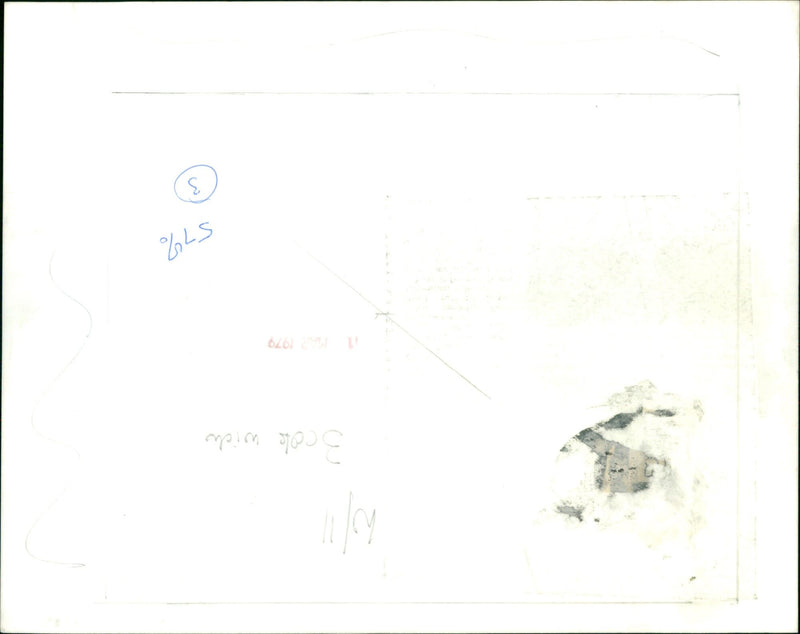 School of piranhas attack unsuspecting bathers in the film "PIRANHA". - Vintage Photograph