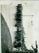People celebrating the reopening of a popular venue in the city of São Paulo, Brazil. - Vintage Photograph