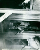 A crowd of people gathered outside a movie theater in London. - Vintage Photograph