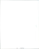 Jim Carrey as pet detective Ace Ventura in "Ace Ventura: When Nature Calls." - Vintage Photograph