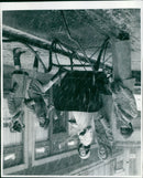 Models show off Autumn fashions influenced by "Dr Zhivago" in London. - Vintage Photograph