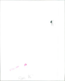 Jim Carrey stars in Ace Ventura: When Nature Calls. - Vintage Photograph