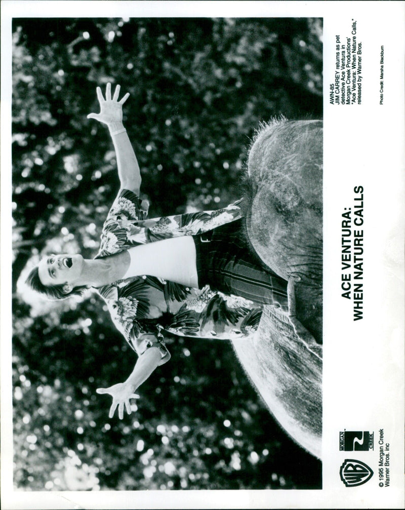 Jim Carrey stars in Ace Ventura: When Nature Calls. - Vintage Photograph