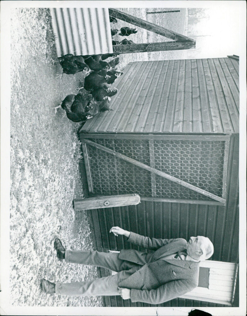 Gopal, a 4-year-old elephant, enjoys playing in the water at the Tuesday River in Karnataka, India. - Vintage Photograph