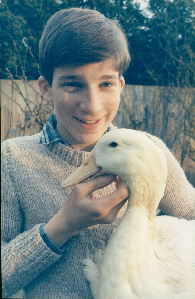 A large flock of ducks can be seen swimming in the lake. - Vintage Photograph