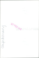 A jellyfish swims in the water off the coast of Croatia. - Vintage Photograph