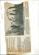 Catkins sway in the rain as the leaves fall from the trees at the end of autumn. - Vintage Photograph