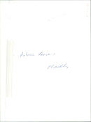 A woman in autumn leaves stands in silhouette against a sunset sky. - Vintage Photograph