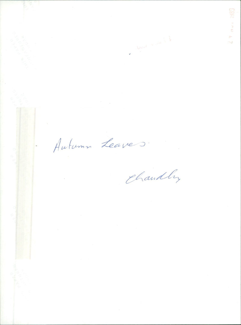 A woman in autumn leaves stands in silhouette against a sunset sky. - Vintage Photograph