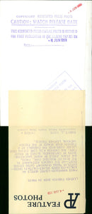 A mannequin models an azalea-coloured velvet-calfskin dress at a leather fashion show in Paris. - Vintage Photograph