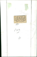 Male models will debut Persian suede jackets in the Shoe and Leather Fair at Olympia London next month. - Vintage Photograph