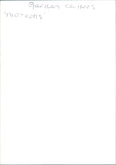 A Votcults mixed daffodil garden in full bloom. - Vintage Photograph